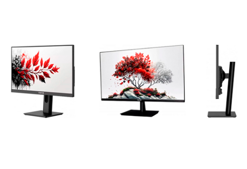 Мониторы RDW Computers в MIDICT